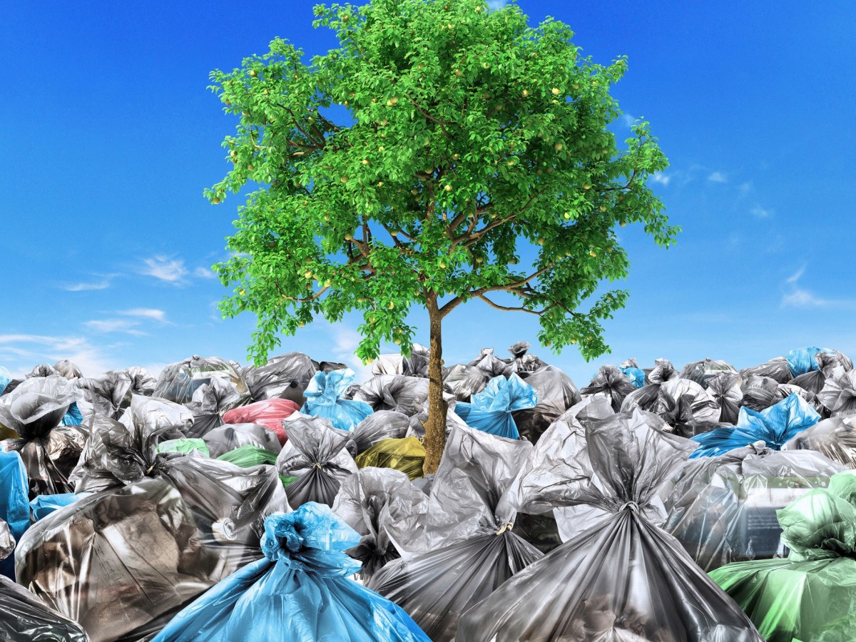 Die Probleme beim Namen&nbsp;nennen