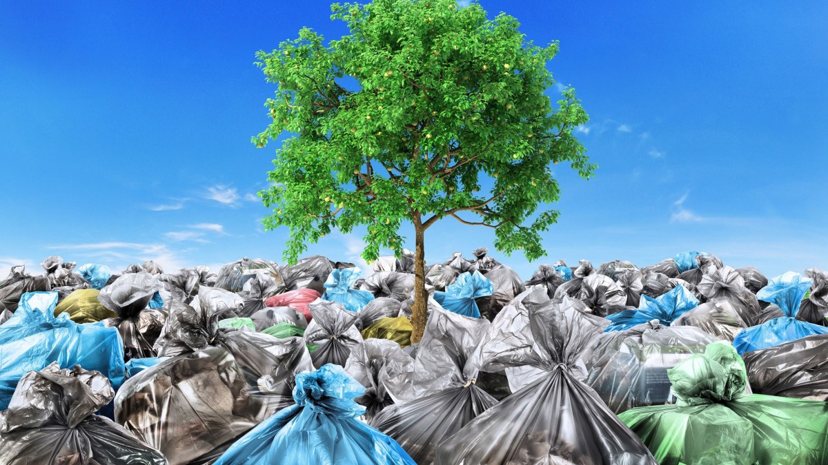 Die Probleme beim Namen&nbsp;nennen